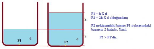 7 Snf Sv Basnc