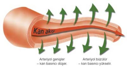 Ortalama Arter Basnc