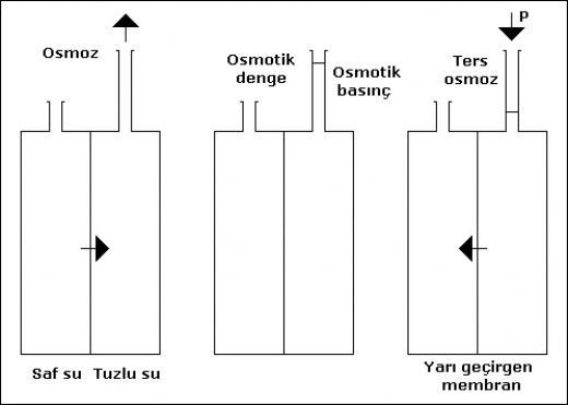 Osmotik Basn